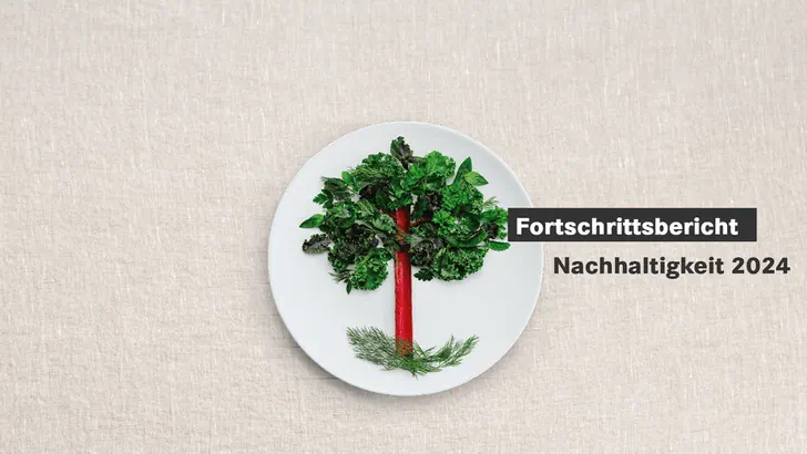 Teller mit Gemüsebäumchen und Text Fortschrittsbericht Nachhaltigkeit 2024.