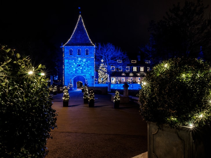 Garten mit Lichtern und beleuchtetem Schloss bei Nacht."  