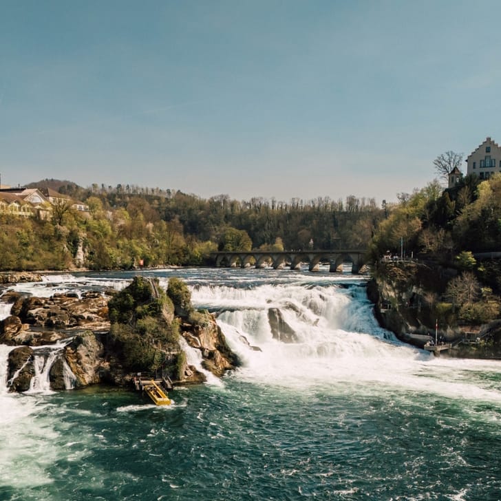Rheinfall mit Schloss und Bäumen im Hintergrund.