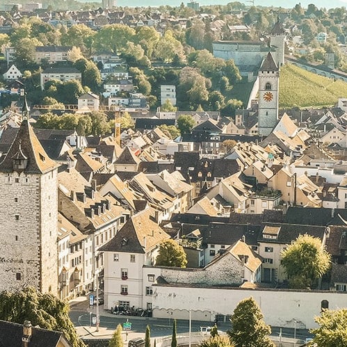 Panoramablick auf die Stadt mit historischen Gebäuden und Bäumen.