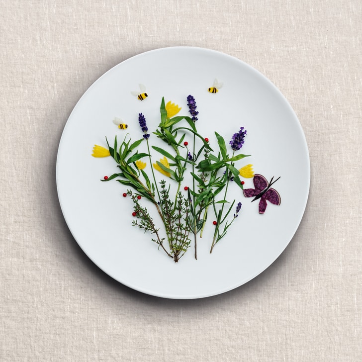 Verschiedene Teller mit Blumen und Pflanzenkunst auf beigem Hintergrund.
