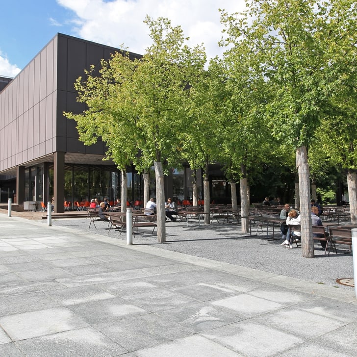 Aussenansicht eines modernen Gebäudes mit Bäumen und Sitzgelegenheiten.