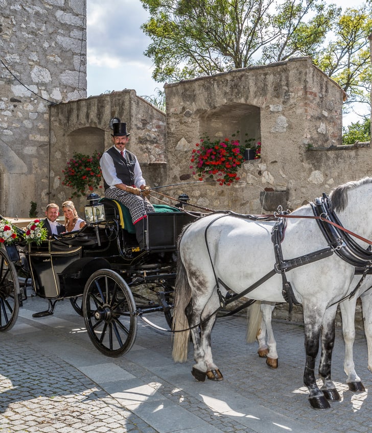 Pferdekutsche vor historischem Tor mit Fahrer und Passagieren.