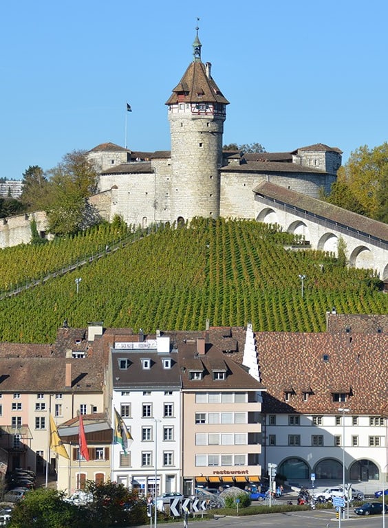 Schloss und Weinberge über Stadtlandschaft bei klarem Himmel.