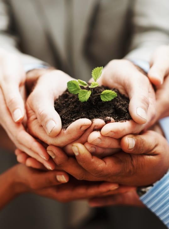 Hände halten Erde mit Setzling.