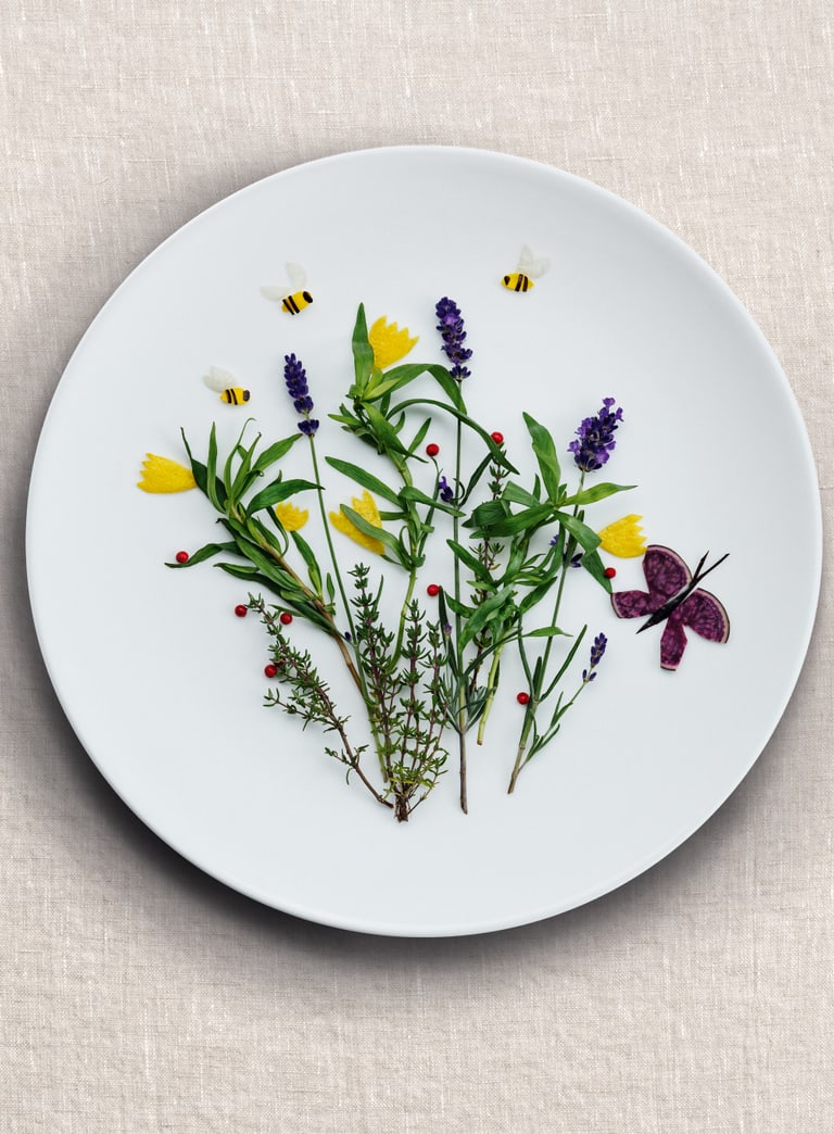 Verschiedene Teller mit Blumen und Pflanzenkunst auf beigem Hintergrund.
