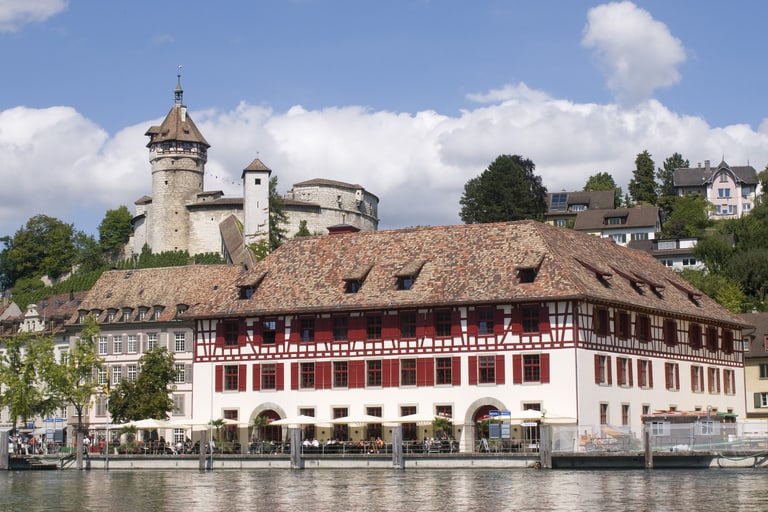 Der Güterhof am Fluss mit Burgturm im Hintergrund.