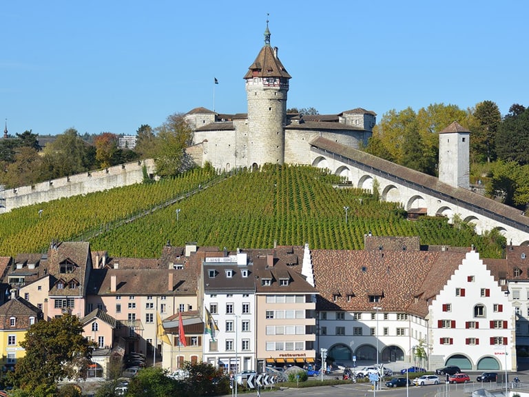 Schloss und Weinberge über Stadtlandschaft bei klarem Himmel.