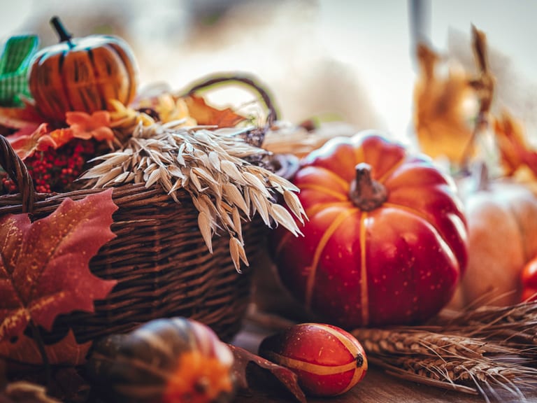Herbstliche Dekoration mit Kürbissen und Blättern.