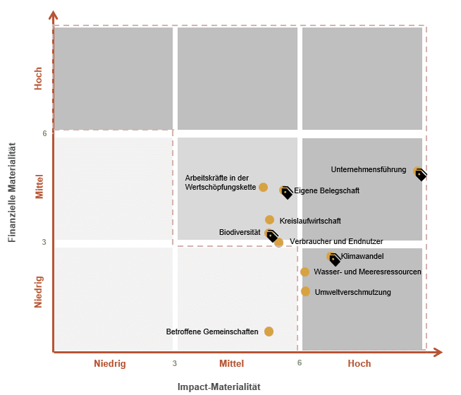 Matrixdiagramm mit finanzieller und Impact-Materialität, Punkte verteilt in Quadranten.